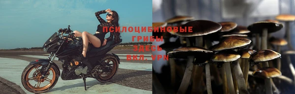 хмурый Балабаново
