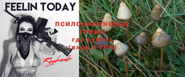хмурый Балабаново