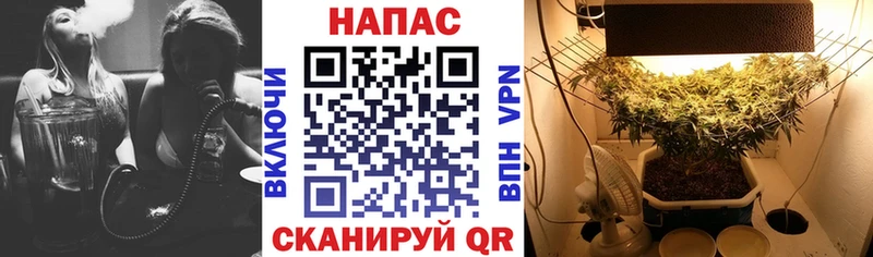 МАРИХУАНА Ganja Ясногорск